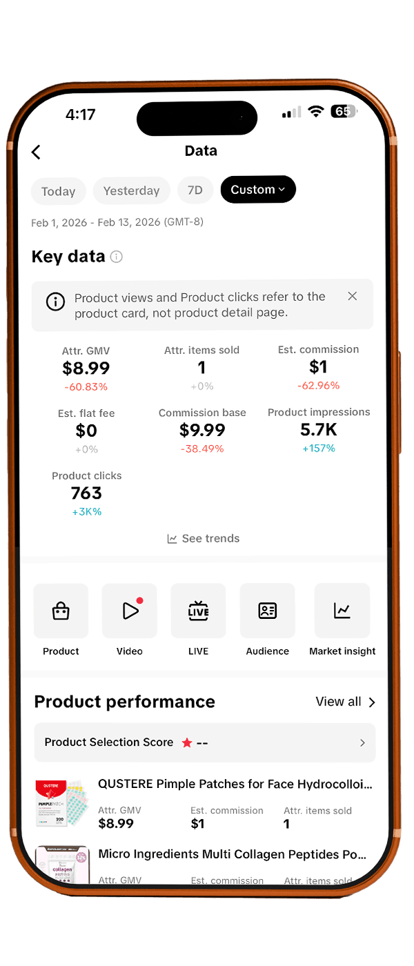 TikTok Shop dashboard before the toolkit